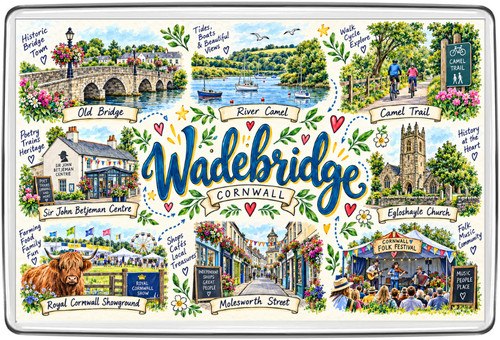 Wadebridge cornwall fridge - wadebridge,