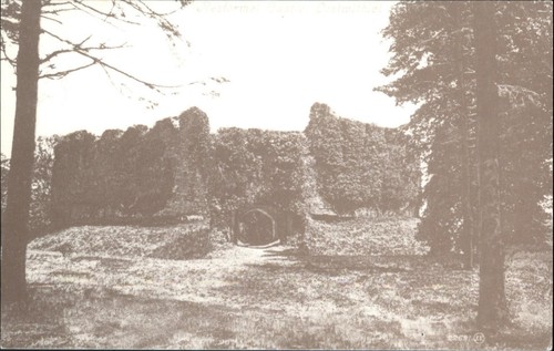 Vintage restormel castle - restormel,