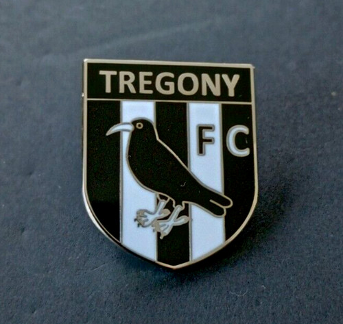 Tregony football club - club,